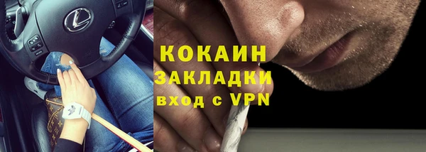прущие крисы Бородино