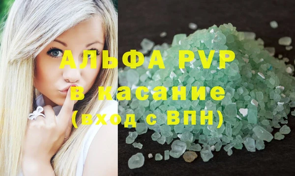 прущие грибы Богданович