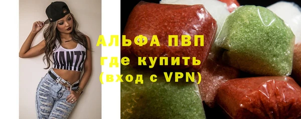 прущие крисы Бородино