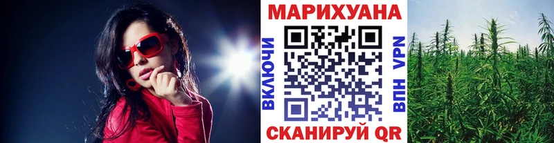 купить наркотики цена  Дивногорск  Конопля семена 